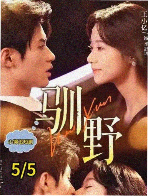 《潮汐备忘录》都市剧集封面